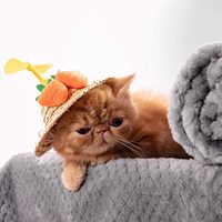 Couverture en polaire ananas douce et unie en polyester personnalisée pour animaux de compagnie (chiens, chats) – Idéale pour canapé, siège de voiture, tapis de couchage – Vente en gros