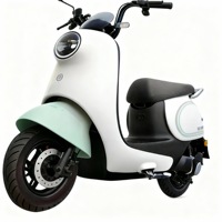 Vélo électrique Falcon 1000W 60/72V, 3 vitesses, autonomie de 31-60 km, cadre en acier carbone de 14 pouces, freins à disque et à tambour