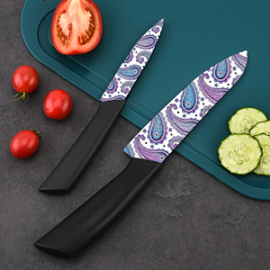 Ensemble de couteaux utilitaires de qualité supérieure en gros, lames en céramique plastique - Présentation de luxe pour cadeaux de mariage, événements spéciaux, livraison gratuite - Product Image 5