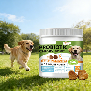 Friandises à mâcher molles probiotiques pour la santé digestive des animaux de compagnie avec du citrouille, régulent la <span class=keywords><strong>flore</strong></span> <span class=keywords><strong>intestinale</strong></span> et renforcent l'immunité, soulagent les problèmes intestinaux chez les chiens - Product Image 3