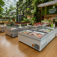 Congélateur coffre commercial en gros avec porte coulissante vitrée, congélateur îlot à refroidissement direct et dégivrage automatique pour supermarché et aliments surgelés