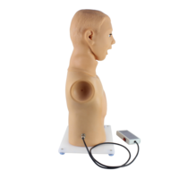 Modelo Avanzado de Inspección de Garganta para Uso Médico, Modelo Realista de Laringe y Faringe Humana para Entrenamiento de Examen