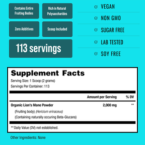 Sư tử của bờm bột bán buôn số lượng lớn nhãn hiệu riêng thảo dược tinh khiết Hữu Cơ sư tử bờm bột - Product Image 4