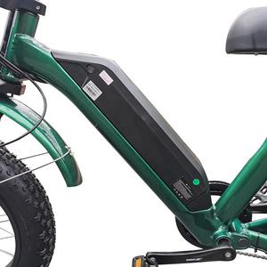 <span class=keywords><strong>2021</strong></span> caliente bafang motores duales grasa neumático de la bici eléctrica de 48v 500w 1000w - Product Image 6