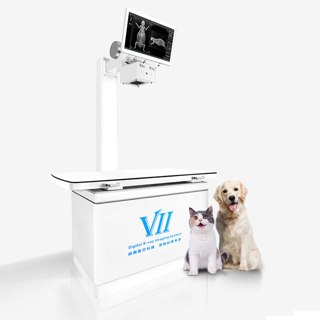 2023 Newest Model Dynamic Veterinary X-Ray Radiography Imaging System X-Ray Inspection Machine