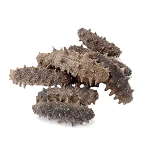 Premium variety High foaming rate dried sea cucumber