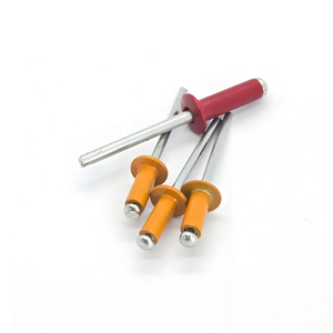 Ancre Nailin industrielle, vente chaude, en aluminium et acier inoxydable, <span class=keywords><strong>rivet</strong></span> aveugle coloré, vis d'ancrage pour béton, goujon mural industriel - Product Image 3