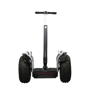 ESWING ES6S dual battery 18.5 INCH two-wheeled adult electric motorcycle scooter self balance scooter