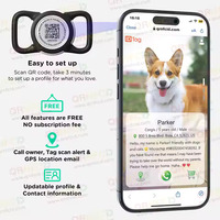 Étiquette d'identification de chien personnalisée en acier inoxydable luxueux étanche Durable forme d'os Code QR colliers pour animaux de compagnie à graver laisses harnais