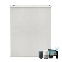 Google Alexa Homekit SmartThings Tuya Shade Boat For Arched Windows Roller Outdoor Electric Curtains Motor Smart Blinds