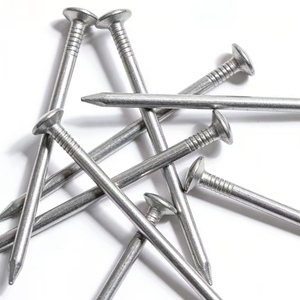 Clous ronds courants en acier inoxydable trempé, tige lisse, zingués, galvanisés, en carton - Product Image 4