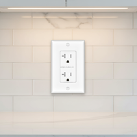 20 Amper Dekoratif Duvar Prizi, Kurcalamaya Karşı Korunaklı, 20A/125V/2500W, Konut ve Ticari Kullanım, UL Onaylı