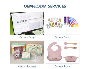 Ensemble de sucettes et d'alimentateurs pour bébé en silicone sans BPA, avec plateau de congélation pour fruits - Product Image 5