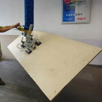 Ventouse à tube sous vide pour le levage du contreplaqué avec bras pour le déplacement du contreplaqué du stockage vers la table CNC