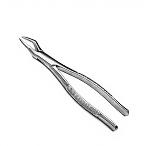 Forceps d'extraction dentaire # Pince manuelle en acier inoxydable 65 pour chirurgie buccale, extraction dentaire, durable, résistante à la corrosion, ergonomique - Product Image 1