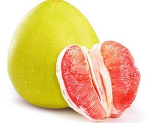 Frigo, fruits frais pour la <span class=keywords><strong>saison</strong></span>, viande, miel, omelette, 1 pièce, livraison gratuite - Product Image 2