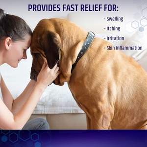 Spray de Hidrocortisona para Perros y Gatos, Precio de Fábrica OEM, Alivio para Puntos Calientes, Alergias y <span class=keywords><strong>Dermatitis</strong></span>, Afecciones de la Piel - Product Image 3
