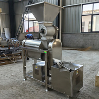 Verwerkingsapparatuur voor kiwi- en tomatensap, grote fruitpulp-pers, industriële sapcentrifuge voor sinaasappel, watermeloen