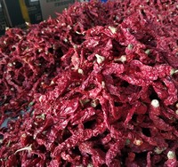 Piment rouge séché Erjingtiao de qualité supérieure en vrac, fourni par l'usine, à haute teneur en capsaïcine, faible humidité, 10% d'huile de piment, Hebei, sans additifs