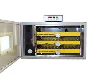 Nhà Máy Bán Buôn Hoàn Toàn Tự Động Trứng Gà Lồng Ấp Để Bán - Product Image 3