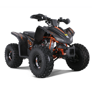 Quad sport Tao Motor, nouvelle conception, transmission automatique par chaîne, 125cc, avec EPA CE COC - Product Image 5