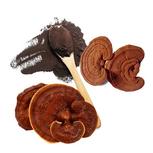 QINSHANTANG - Extracto <span class=keywords><strong>de</strong></span> Hongo Reishi 100% Natural y Orgánico <span class=keywords><strong>de</strong></span> Grado Alimenticio, Marca Privada - Product Image 1