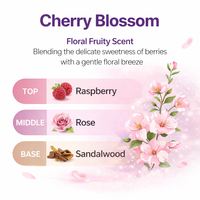 Ensemble Shampooing et Après-Shampooing Fleur de Cerisier Hydratant Lissant Nourrissant Huile d'Argan Macadamia Fabricant OEM Marque Privée