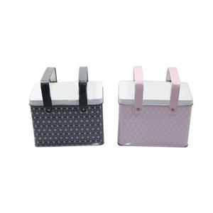 Lattina di ferro portatile alla moda con manico in colori assortiti per conservare cosmetici o elementi essenziali per Picnic - Product Image 6