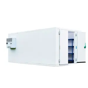 coldroom mobile mini cold room storage is a cold chain device for vegetables and meat