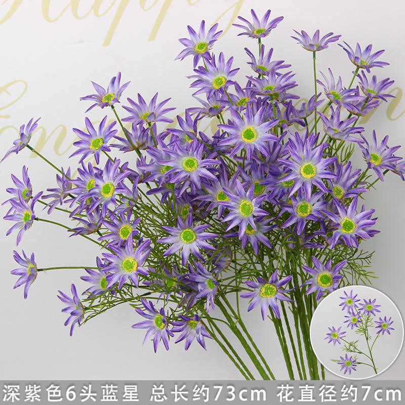 Étoile bleue à six têtes violet foncé/pièce