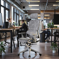 Chaise de bureau ergonomique moderne en maille, hauteur réglable, pivotante, dossier à ailettes, cadre en acier inoxydable, gris, garantie 3 ans