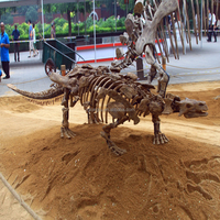 Réplique artificielle de dinosaure géant grandeur nature de qualité musée