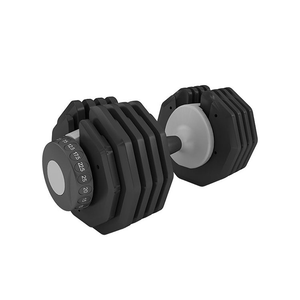 2026 New Type Adjustable Cast Iron <b>Dumbbells</b> and Free Weights for Home Gym Weight Benches and Adjustable <b>Dumbbell</b> - Product Image 2