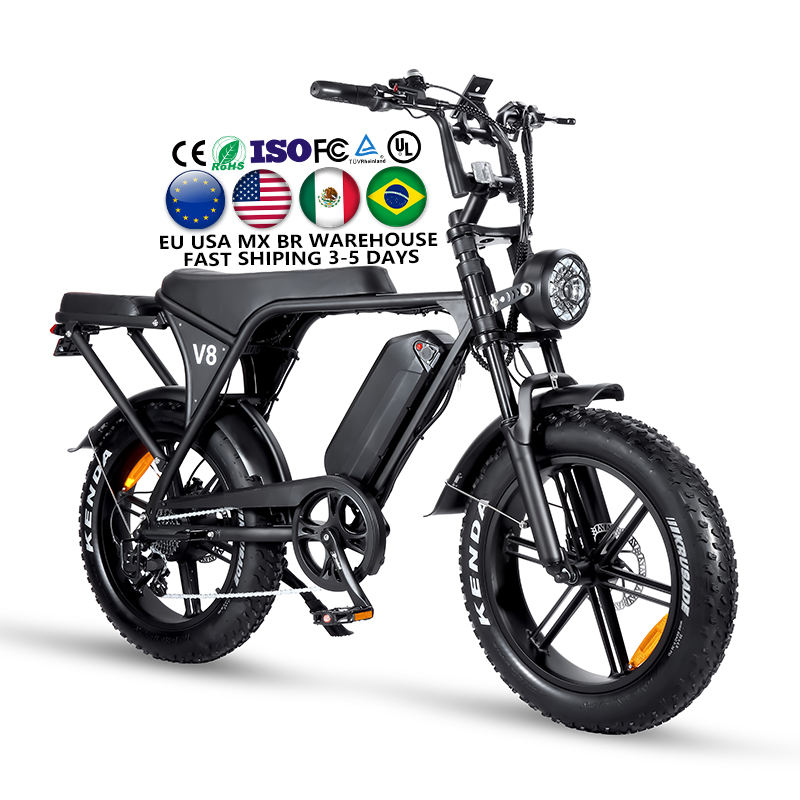 Fat Bike Importer Wholesale Electric Bicycles for All Needs