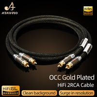 Pour ATAUDIO 2RCA OCC câble Audio plaqué or paire HI-FI pour Home cinéma TV haut-parleurs amplificateurs mélangeurs RCA PVC Microphone