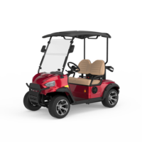 Voiturette de golf électrique professionnelle personnalisée avec logo et accessoires couleur, nouveau modèle, autonomie de 60-80 miles, pour 2 personnes, idéale pour les communautés résidentielles