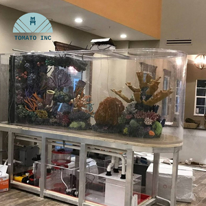 Système d'aquarium en acrylique de grande taille TOMATO INC pour hôtel, complexe hôtelier, villa et décoration de poissons marins commerciaux - Product Image 5