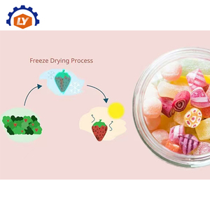 Máquina Automática de Secado por Congelación de Frutas y Verduras/Precio de la Máquina de Secado por Congelación/Máquina Industrial de Secado por Congelación - Product Image 4