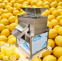 Volledig roestvrijstalen fruitpers-extractor voor ananas, passievrucht en drakenvrucht fabrieken