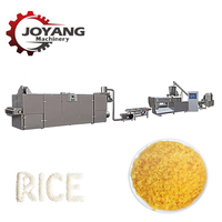Ligne de traitement des noyaux de riz artificiellement enrichi par extrusion industrielle à double vis 200-500 kg/h