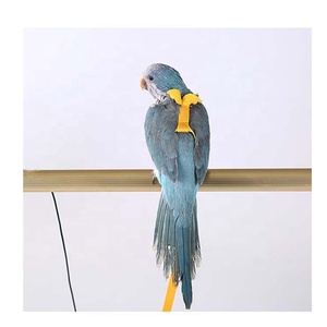 สายรัดขาสำหรับนกขนาดใหญ่จาก Ebay UK และ <span class=keywords><strong>Daraz</strong></span> - Product Image 1