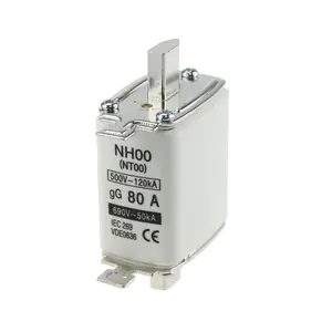 fuse link(NH00 NT00 RT16-00 63A)