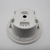 Altavoz de Techo Cerrado de 100V Personalizado al por Mayor de Fábrica para Instalación en Sistemas de PA en Oficinas y Locales