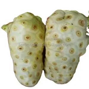 Morinda Citrifolia ผลไม้แห้งแช่แข็งบริสุทธิ์ผงขนาดเล็ก Noli ผงละเอียด