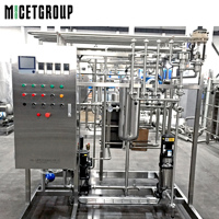 Système de pasteurisation rapide 1000L/H pour bière, jus et boissons – Machine de stérilisation pour brasserie