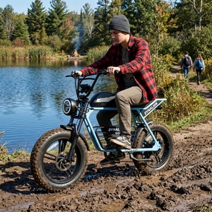 Bicicleta Eléctrica Todoterreno Resistente con Neumáticos Anchos Antideslizantes, Bicicleta Eléctrica Robusta para Explorar <span class=keywords><strong>Dunas</strong></span> de Arena - Product Image 2