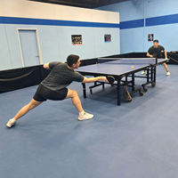 Revêtement de sol en vinyle PVC pour tennis de table, rouleau professionnel pour clubs sportifs, écoles, centres d'entraînement, imperméable, résistant à l'usure, adhésif