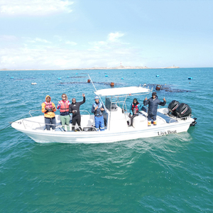 Liya 7.6m Sport Yacht Mini <span class=keywords><strong>Cargo</strong></span> Pêche Panga <span class=keywords><strong>Bateau</strong></span> avec Moteur Hors-Bord Commercial <span class=keywords><strong>Bateau</strong></span> En Fibre De Verre - Product Image 3
