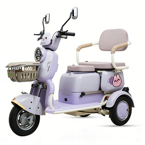 Tricycle Électrique Amélioré pour la Mobilité – Prix Usine – Moteur TVS <span class=keywords><strong>Essence</strong></span> – Vitesse 50-70 km/h - Product Image 1