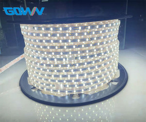 Cuerda impermeable IP67 Blanco/blanco cálido/azul 60LEDs/M + enchufe de interruptor de la UE <span class=keywords><strong>220</strong></span> 240VSMD 4040 <span class=keywords><strong>tira</strong></span> de <span class=keywords><strong>LED</strong></span> - Product Image 3